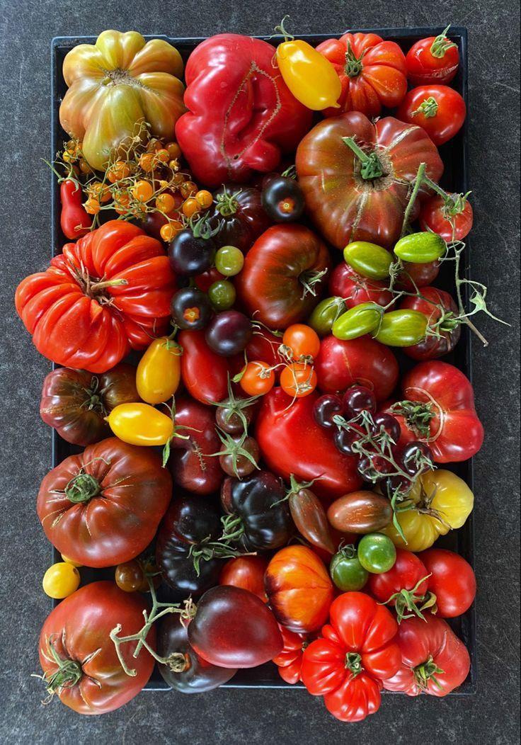 Berry Bounty Bliss: Freshness in Every Basket